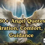 380+ Angel Quotes Inspiration, Comfort, and Guidance