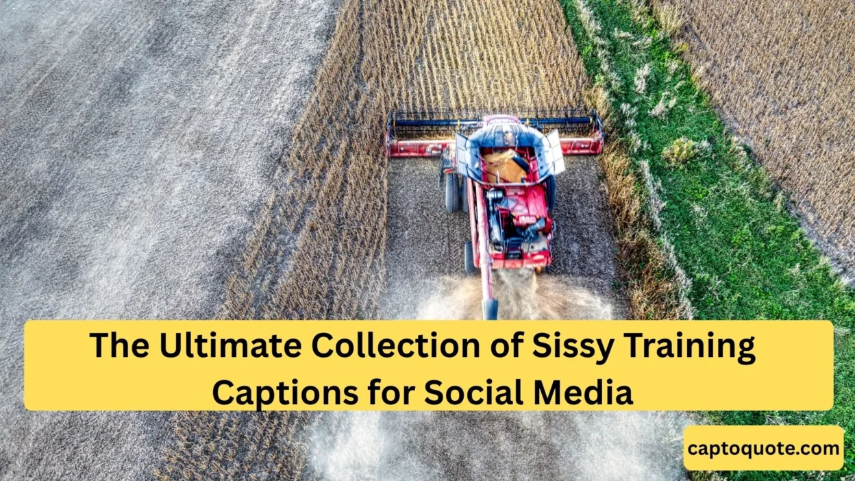 The Ultimate Collection of Sissy Training Captions for Social Media