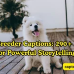 Dog Breeder Captions 290+ Ideas for Powerful Storytelling